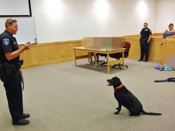 8.24.14 - Wyoming Cop Charged in Death of Canine Officer Left in Hot Car
