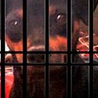 8.27.14 Petition to Get Mans Service Dog Back2