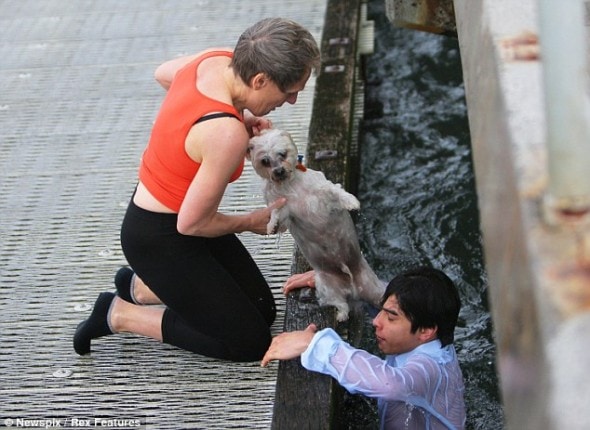 8.4.14 - Australian man Dives Off pier to Save Drowning dog During Grandmother6