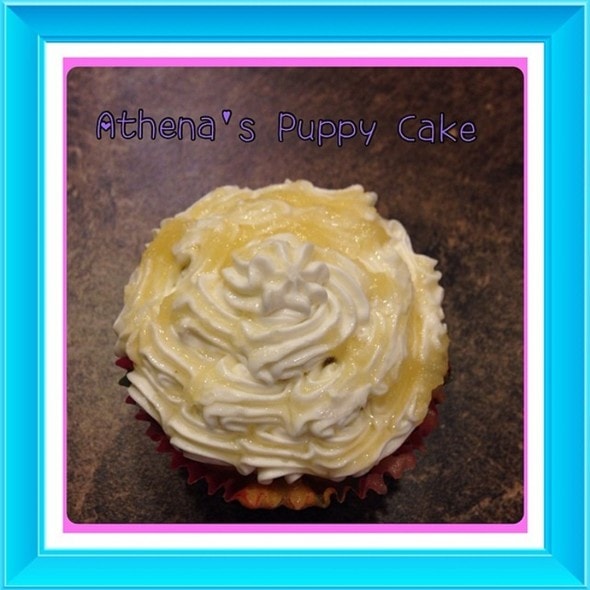 9.1.14 - Doggy Cakes Recipe Provides All Natural Option for Treats