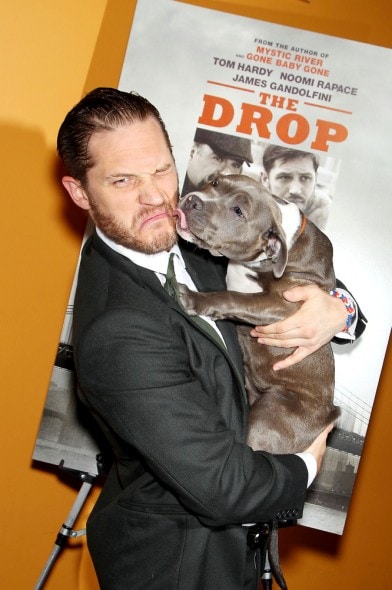 9.11.14 - Tom Hardy Cozies Up with Co-Star at The Drop Premiere3