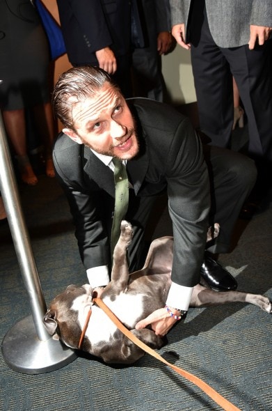 9.11.14 - Tom Hardy Cozies Up with Co-Star at The Drop Premiere5