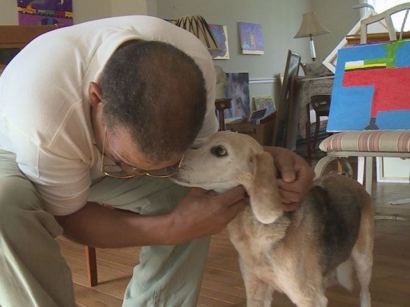 9.15.14 - Cane salva proprietario dal cuore Attack4