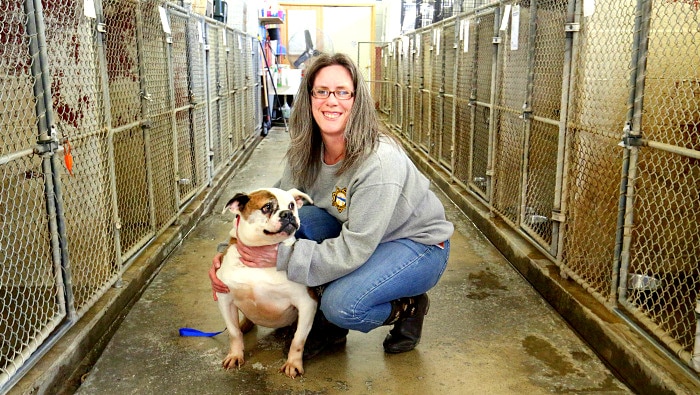 Businessman Donates 250000 For New Ohio Dog Shelter Life With Dogs