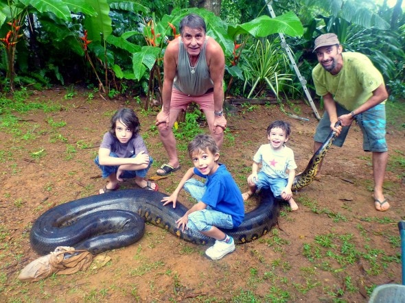 Anaconda Captured After It Ate A Pet Dog In French Guiana