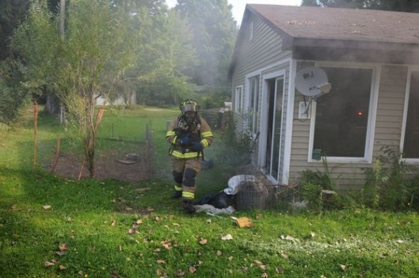 9.3.14 - Firefighters Rescue Seven Puppies from House Fire3