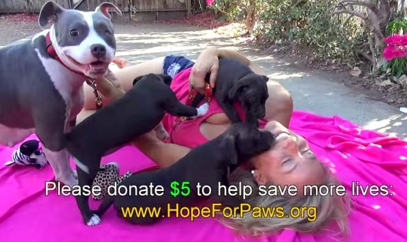 10.1.14 - Homeless Mama Dog and Puppies Rescued by HFP5