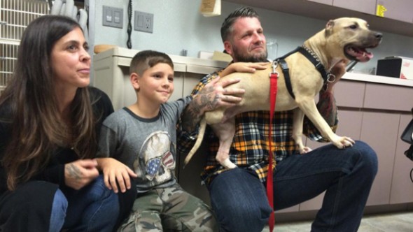 10.22.14 - Abused Pit Bull Finds New Home With Loving Family