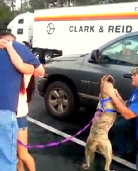 10.22.14 - Trucker Drives Missing Dog over 1,300 Miles Home5