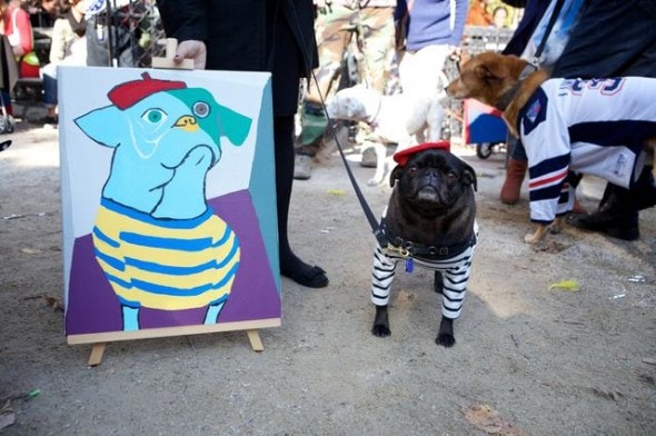 10.27.14 - Tompkins Square Dog Costume Halloween Parade Highlights1
