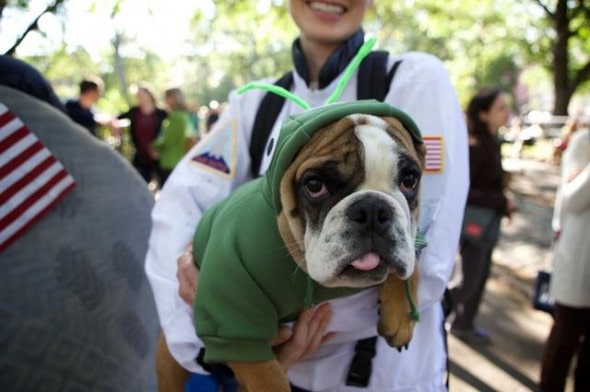 10.27.14 - Tompkins Square Dog Costume Halloween Parade Highlights18