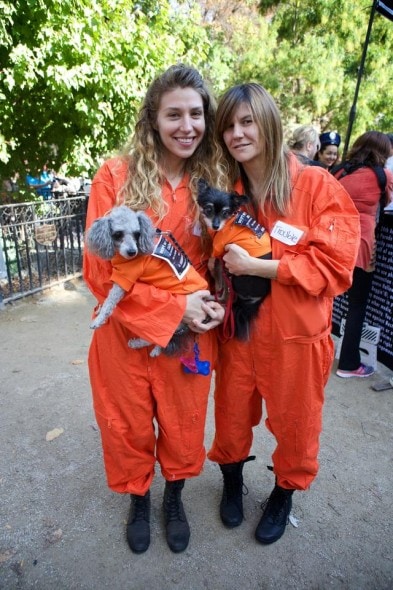 10.27.14 - Tompkins Square Dog Costume Halloween Parade Highlights30