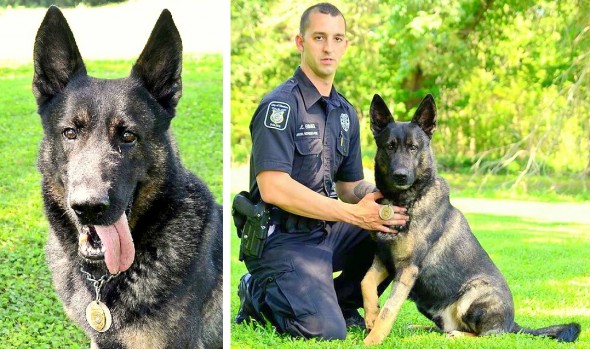 10.28.14 - Police Department Refuses to Let Cancer-Stricken K-9 Retire8