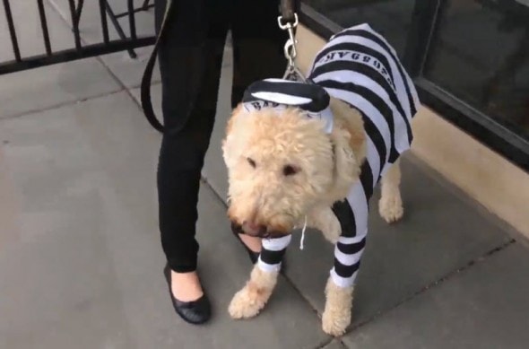 141020-Halloween1
