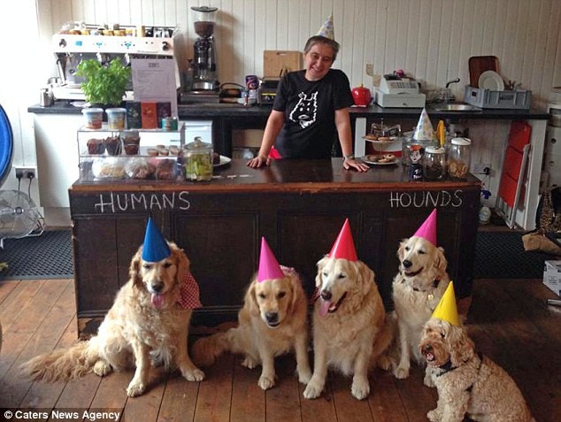 Would You Give up Your Job  for Your Dog This Woman Did 