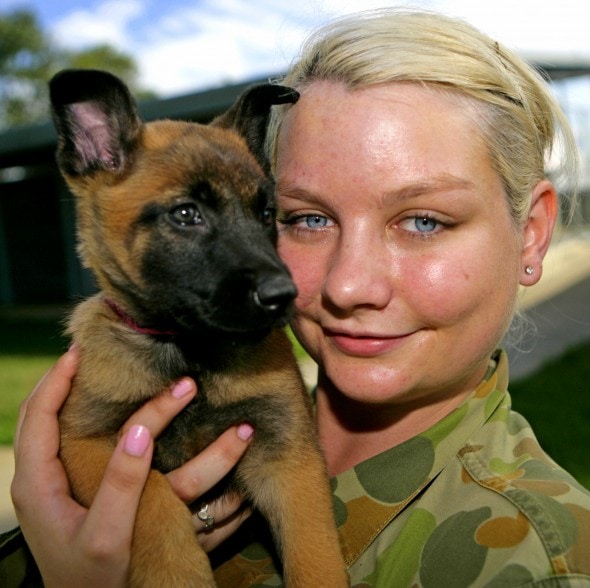 Naming of RAAF puppies