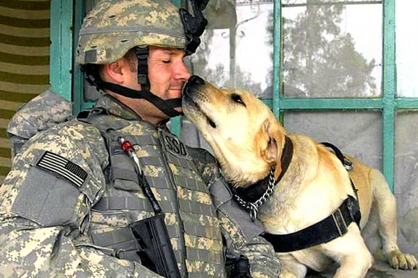 11.11.14 - Soldiers and Dogs9