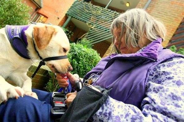 11.16.14 - Elderly Disabled Woman’s Life Transformed by Service Dog1