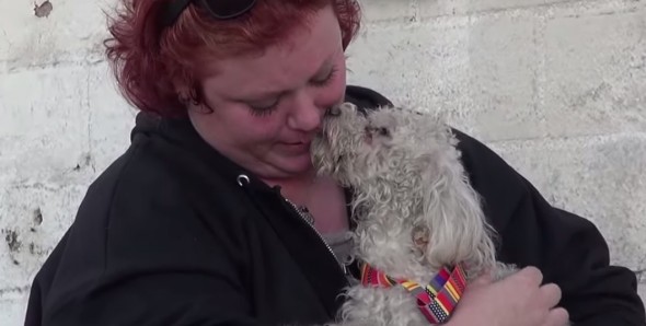 11.18.14 - Abandoned Dog Struck by Car Changes Rescuer’s LifeEND