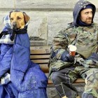 11.20.14 Pets Now Welcome at Nebraska Homeless Shelter3