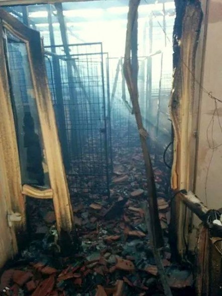 11.5.14 - Romanian Shelter Burns to the Ground5