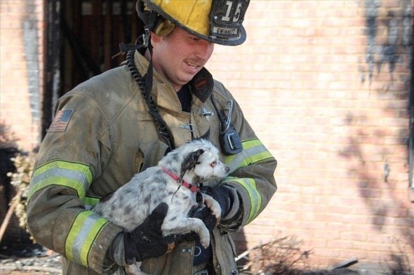 Firefighter Josh Ward rescuing the trapped dog. Photo Credit: Gwinnett County Fire Department.