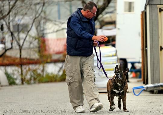 12.12.14 - Homeless Man Walks Five Miles a Day to See His Dog3