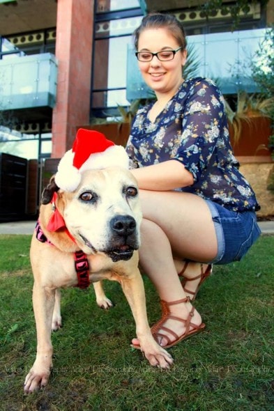 12.2.14 - 13-Year-Old Dog at Shelter for 1000 Days FINALLY Gets a Home3