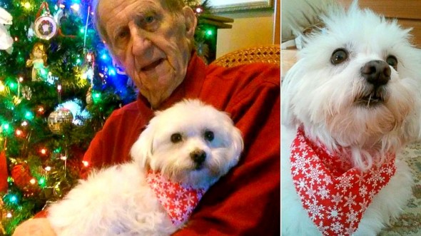 12.27.14 - Family Says Stray Dog Helped Cure Elderly Man’s Cancer1