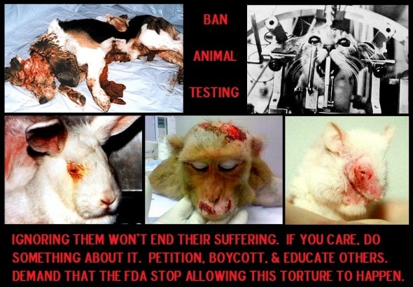 12.3.14 - Ban Animal Testing1