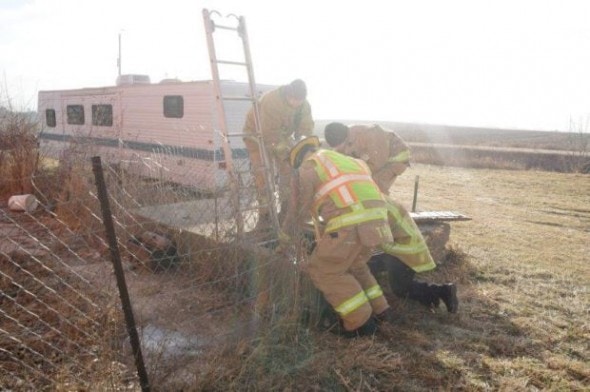Firefighters rescuing dog from well.