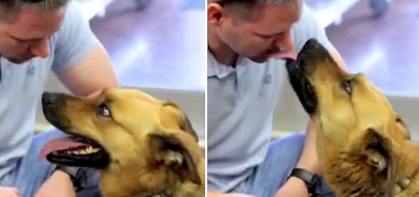 1.2.14 - Dog's Reaction to Reunion with Owner2