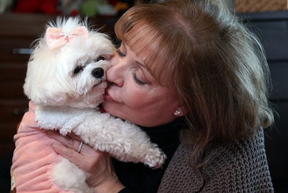 Trust Fund Dog - Beloved Pets Life of Luxury