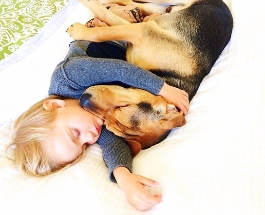 1.7.15 - Theo and Beau Are Still the Cutest Nappers2