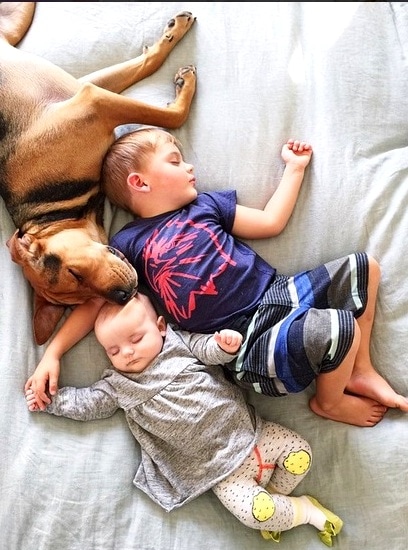 1.7.15 - Theo and Beau Are Still the Cutest Nappers30