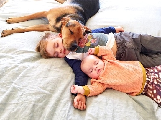 1.7.15 - Theo and Beau Are Still the Cutest Nappers31