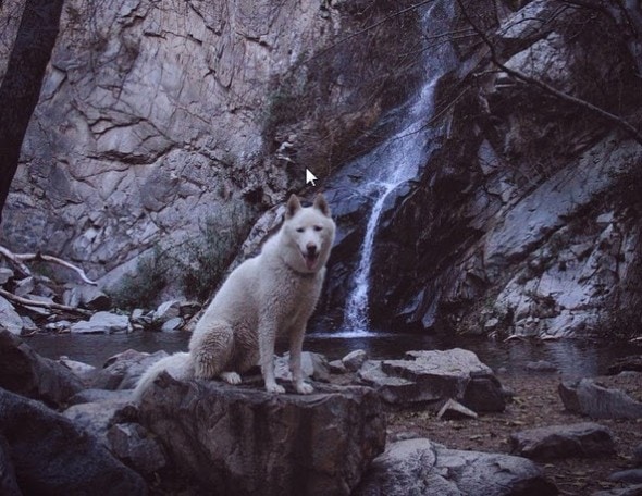 Wolfgang in Sturtevant Falls. Photo Credit: John Stortz