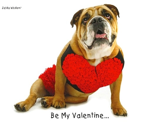 2.13.15 - Valentine's Day Dogs24