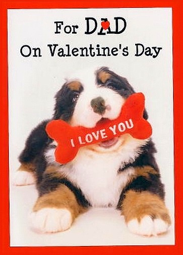 2.13.15 - Valentine's Day Dogs3