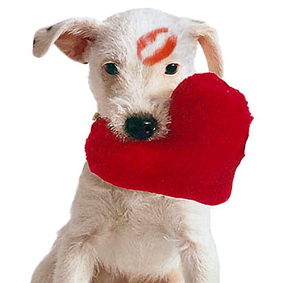 2.13.15 - Valentine's Day Dogs5