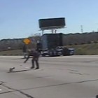 2.5.15 cops rescue dog highway