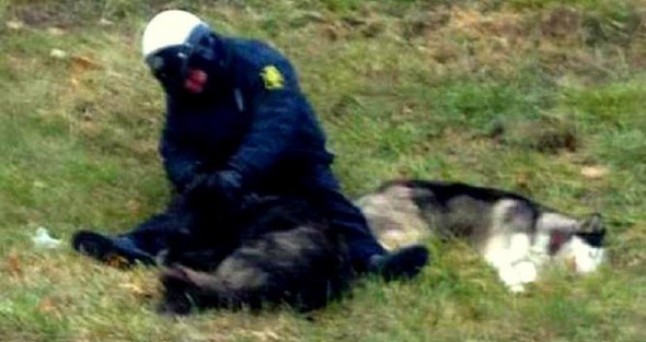 3.15.14 - Kansas City Officer Comforts Cold, Lost Dogs Until Help Arrives