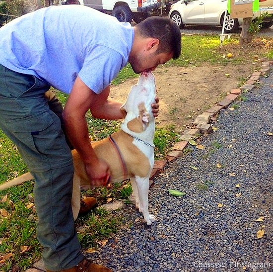 3.18.15 - Man with Cancer Is Reunited with Missing Dog2