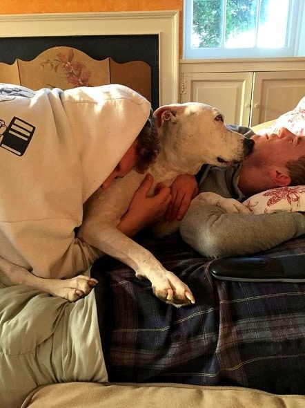 3.5.15 - Beloved Rescue Dog Oogy Has Died7