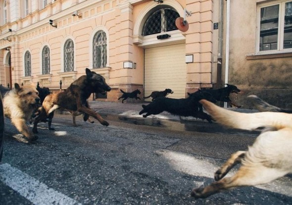 Scene from movie.