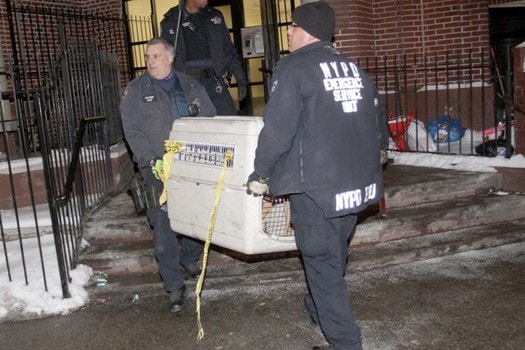 4.2.15 - NYPD DogTOP