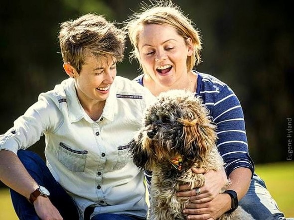 4.22.15 - Australian Pet Shop Must Pay $8,000 for Sick Puppy1