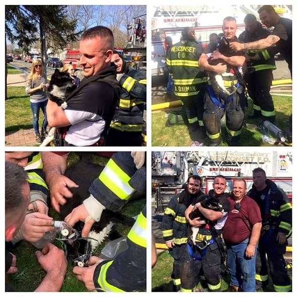 4.24.15 - Animal Rescuer Turns Personal Tragedy into an Amazing Cause4
