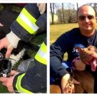 4.24.15 Animal Rescuer Turns Personal Tragedy into an Amazing Cause5