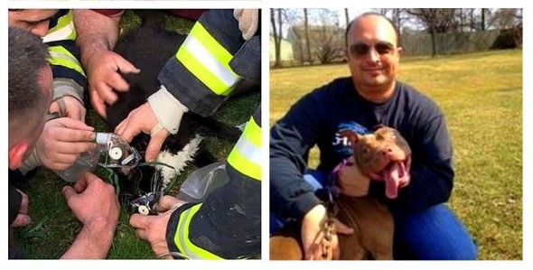 4.24.15 - Animal Rescuer Turns Personal Tragedy into an Amazing Cause5